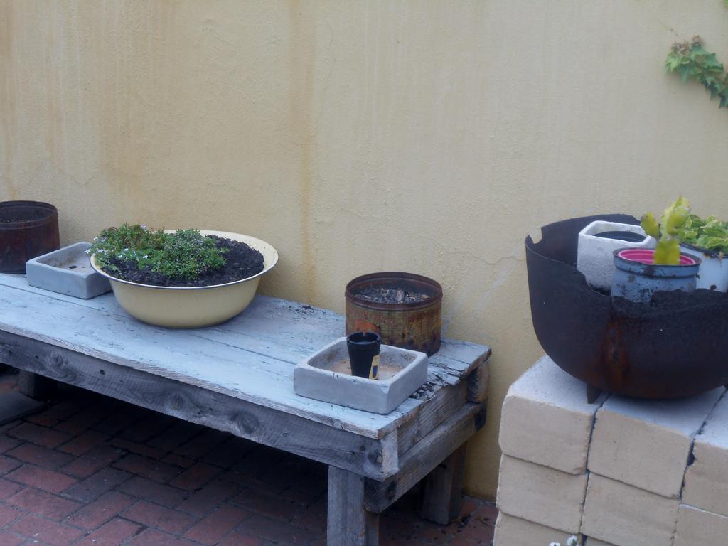 Toscana Cottage พอร์ตเอลิซาเบธ ภายนอก รูปภาพ